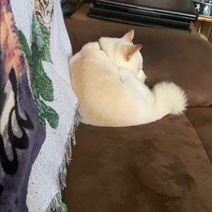 Meet your Posher, Rita